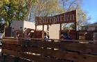 midtown biergarten